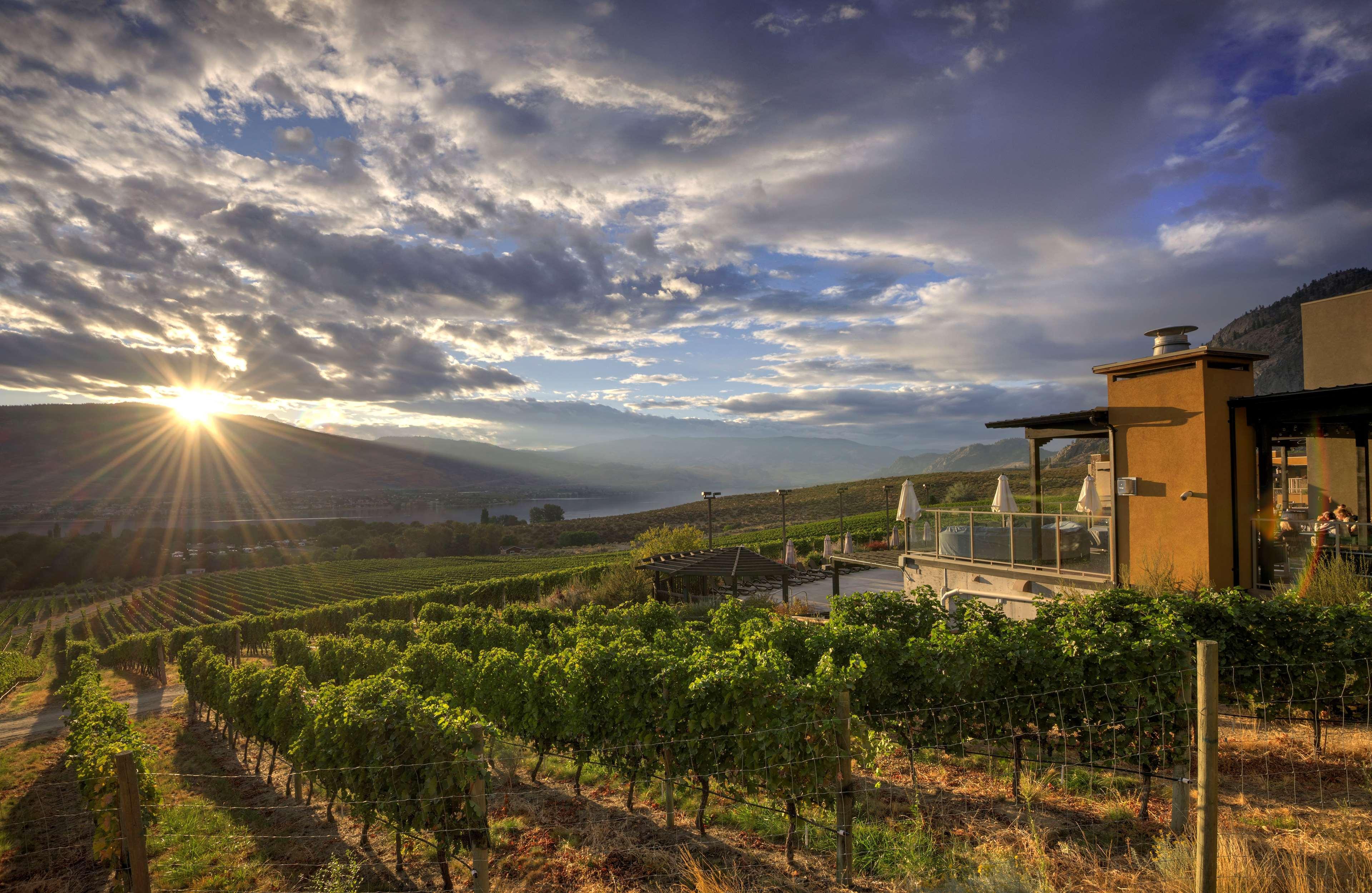 Spirit Ridge, In The Unbound Collection By Hyatt