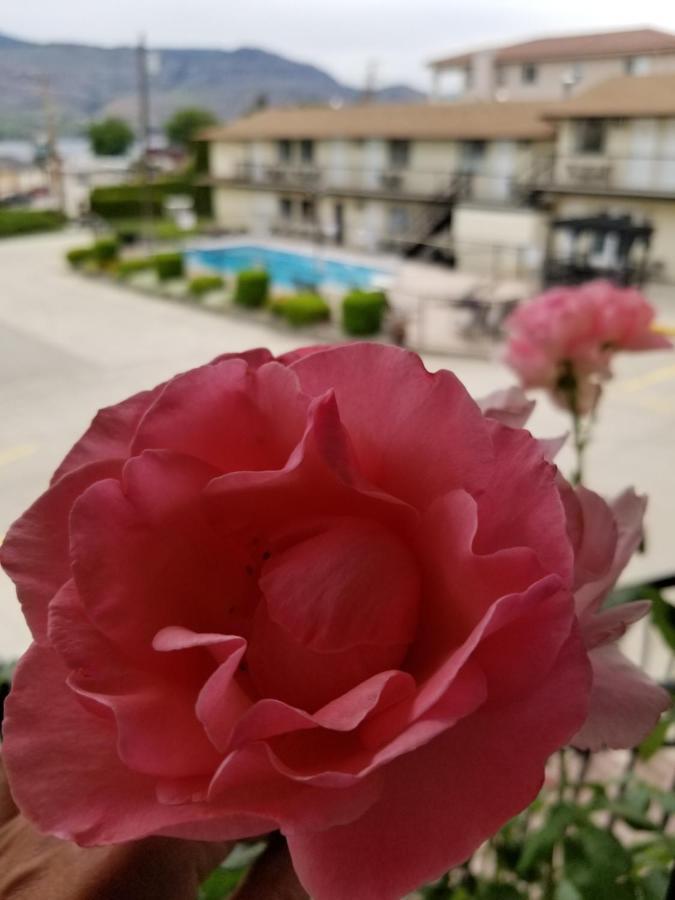 Motel Lakeview &