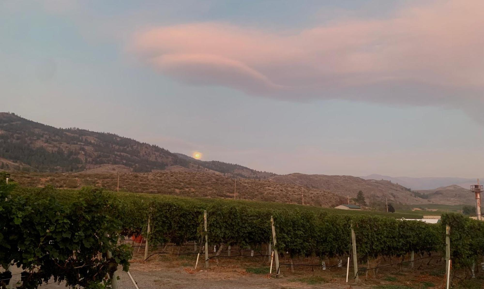 Sonora Desert Inn Pensão Osoyoos